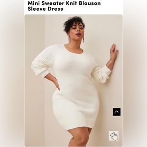 Torrid sweater dress